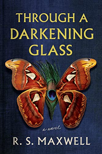 Stock image for Through a Darkening Glass: A Novel for sale by SecondSale