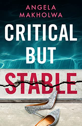 Stock image for Critical But Stable for sale by WorldofBooks