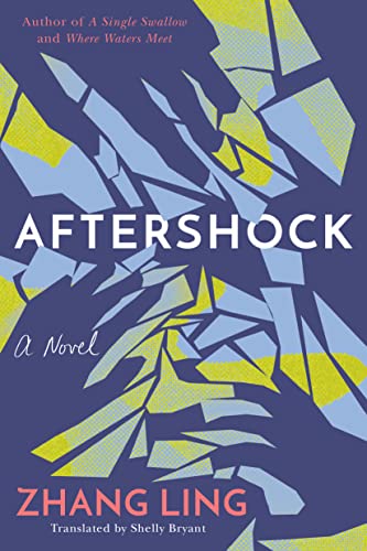 Beispielbild fr Aftershock: A Novel zum Verkauf von Books Unplugged