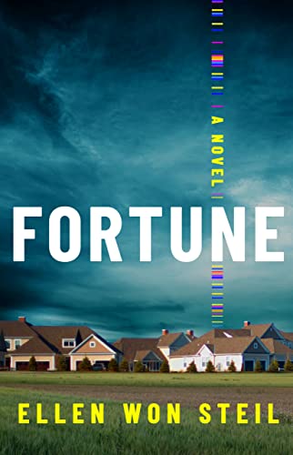 Stock image for Fortune: A Novel for sale by BooksRun