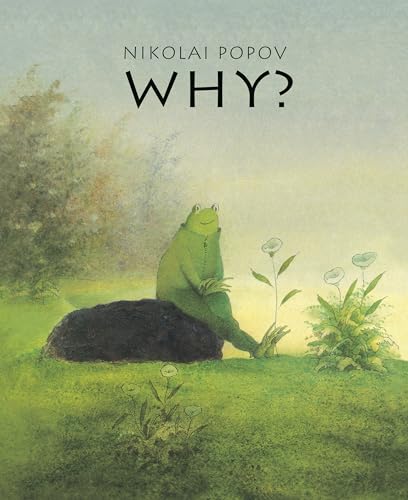 Imagen de archivo de WHY?: A Timeless Story Told Without Words a la venta por Bellwetherbooks