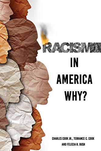 Stock image for Racism in America Why? for sale by ThriftBooks-Atlanta