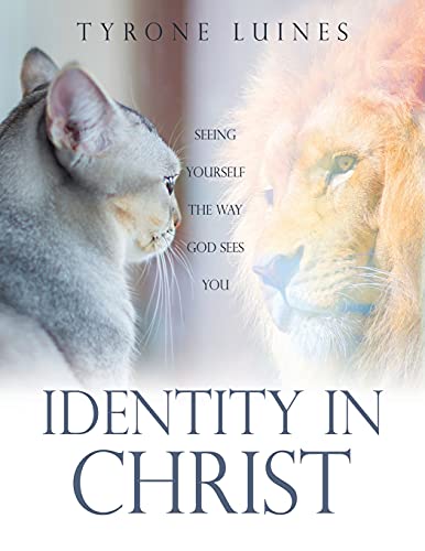 Imagen de archivo de Identity in Christ: Seeing Yourself the Way God Sees You a la venta por GF Books, Inc.