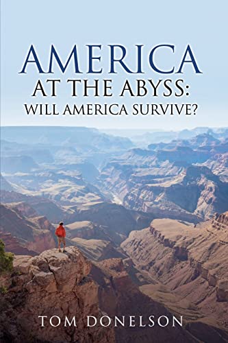 Beispielbild fr America At The Abyss: Will America Survive? zum Verkauf von BooksRun
