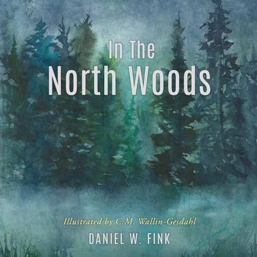 Stock image for In The North Woods for sale by GreatBookPrices
