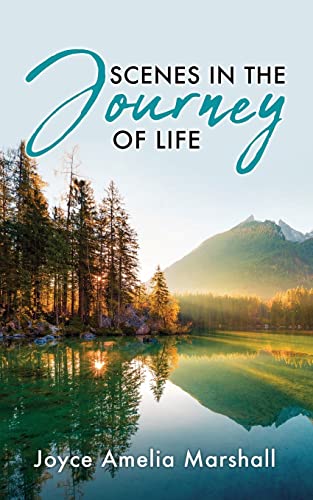 Stock image for Scenes in the Journey of Life for sale by ThriftBooks-Atlanta