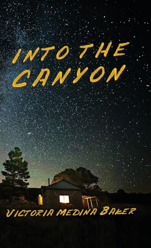Stock image for INTO THE CANYON (1) (Kammer Family) for sale by Revaluation Books