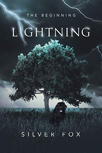 Immagine dell'editore per Lightning : The Beginning venduto da GreatBookPricesUK
