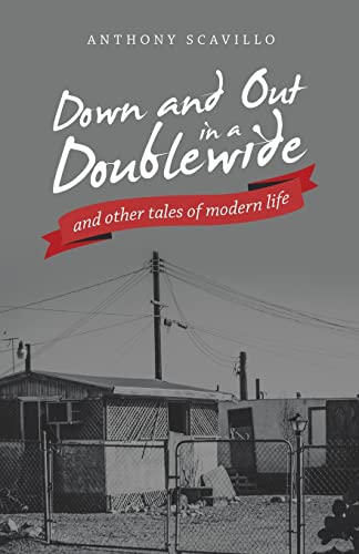 Immagine dell'editore per Down and out in a Doublewide and Other Tales of Modern Life venduto da Chiron Media