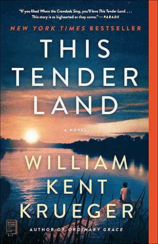 9781663608444: This Tender Land