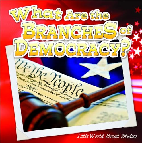 9781663620910: What Are the Branches of Government? (Little World Social Studies)