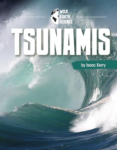 Beispielbild fr Tsunamis zum Verkauf von Blackwell's