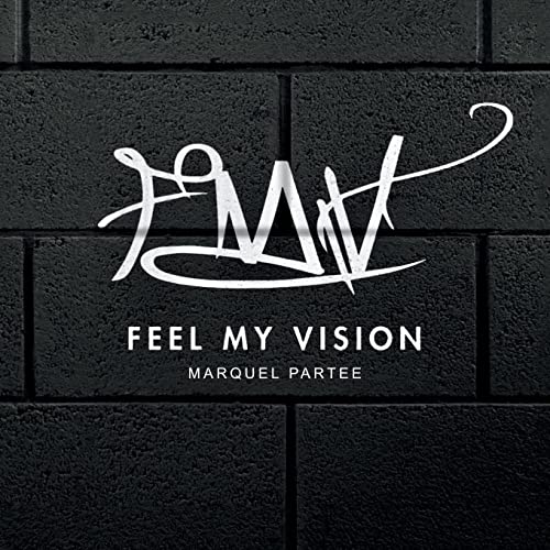 9781664187610: Feel My Vision