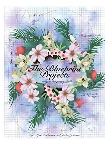 Stock image for The Blueprint Projects: Making the Bible Personal, Relatable, Becoming a True Prophetess for sale by ThriftBooks-Atlanta