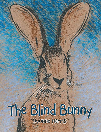Stock image for The Blind Bunny for sale by Lucky's Textbooks