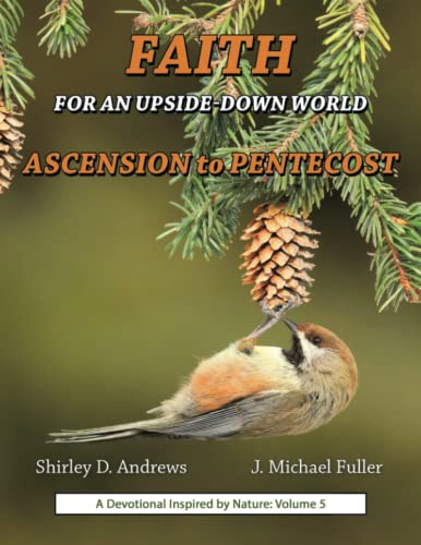 9781664278851: Faith for an Upside-Down World: Ascension to Pentecost