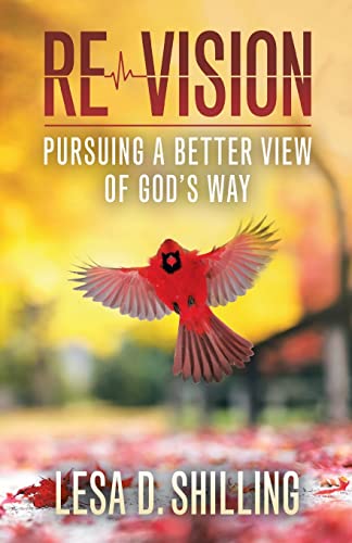 Stock image for Re-Vision: Pursuing a Better View of God's Way for sale by THE SAINT BOOKSTORE