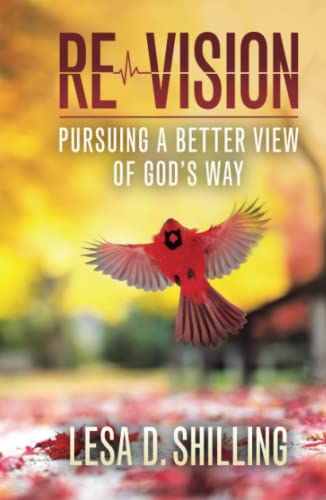 Stock image for Re-vision : Pursuing a Better View of God?s Way for sale by GreatBookPrices