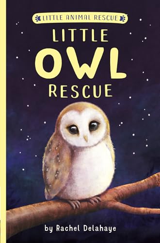 9781664340114: Little Owl Rescue (Little Animal Rescue)