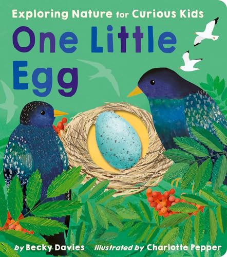 Stock image for One Little Egg : Exploring Nature for Curious Kids for sale by Better World Books: West