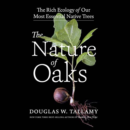 Beispielbild fr The Nature of Oaks: The Rich Ecology of Our Most Essential Native Trees zum Verkauf von Revaluation Books