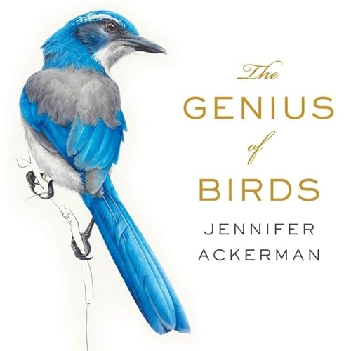 Imagen de archivo de Genius of Birds : Library Edition a la venta por GreatBookPrices