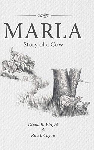 Stock image for Marla: Story of a Cow for sale by Lucky's Textbooks