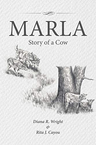 Stock image for Marla: Story of a Cow for sale by Books From California