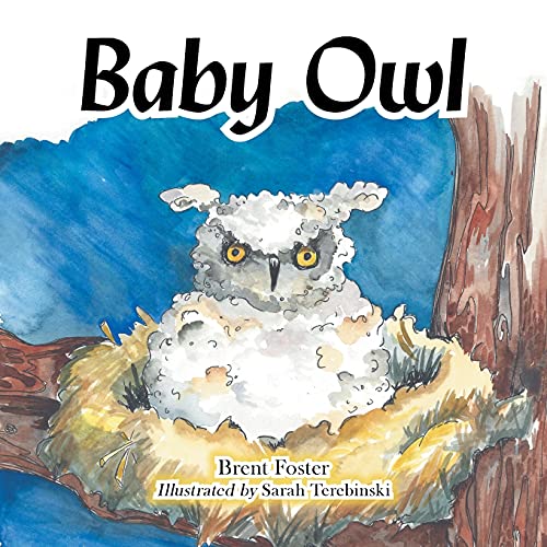 Imagen de archivo de Baby Owl a la venta por PlumCircle