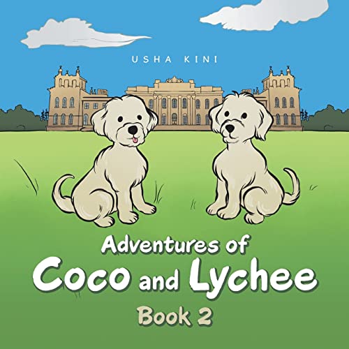 9781665595865: Adventures of Coco and Lychee: Book 2