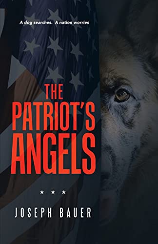 Stock image for The Patriots Angels for sale by PlumCircle