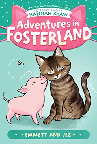 9781665901185: Emmett and Jez (Adventures in Fosterland, 1)
