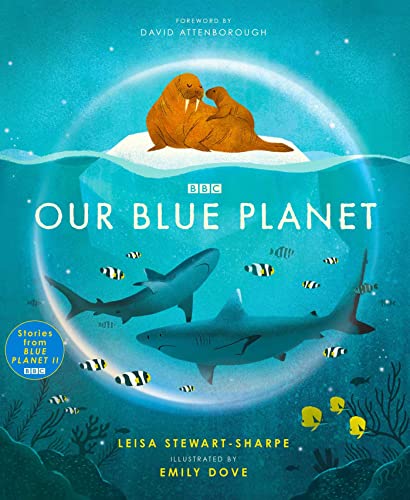 Beispielbild fr Our Blue Planet zum Verkauf von Blackwell's