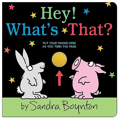 Stock image for Hey! What's That? (Boynton on Board (Sandra Boynton Board Books)) for sale by Ami Ventures Inc Books