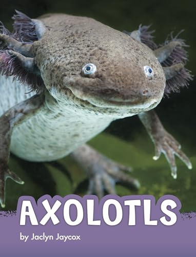 

Axolotls