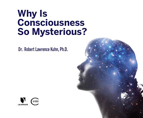 9781666504019: Why Is Consciousness So Mysterious?