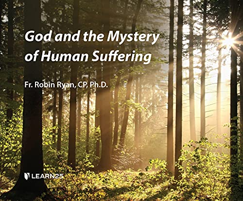 Stock image for God and the Mystery of Human Suffering for sale by HPB-Ruby
