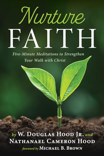Imagen de archivo de Nurture Faith a la venta por ThriftBooks-Dallas