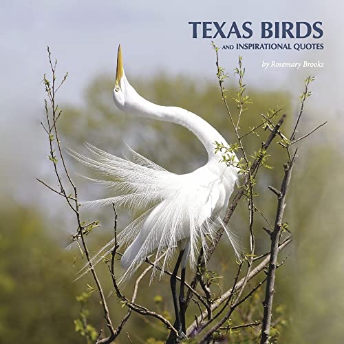 Stock image for Texas Birds and Inspirational Quotes for sale by GF Books, Inc.