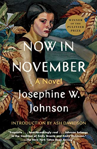 9781668004227: Now in November: A Novel