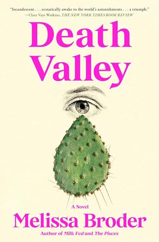 Stock image for Death Valley: A Novel [Paperback] Broder, Melissa for sale by Lakeside Books