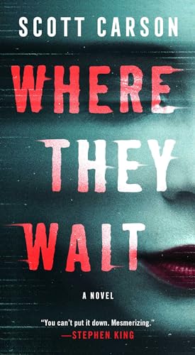 Imagen de archivo de Where They Wait: A Novel a la venta por Half Price Books Inc.