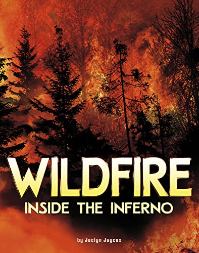 Stock image for Wildfire, Inside the Inferno for sale by Half Price Books Inc.