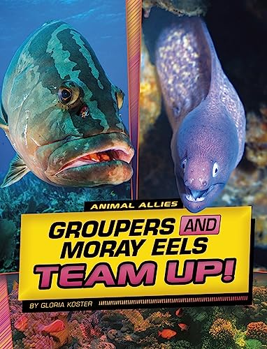 Beispielbild fr Groupers and Moray Eels Team Up! zum Verkauf von Blackwell's