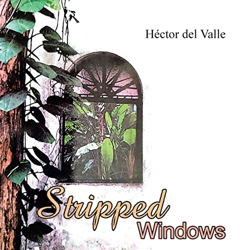 Stock image for Stripped Windows for sale by Lucky's Textbooks