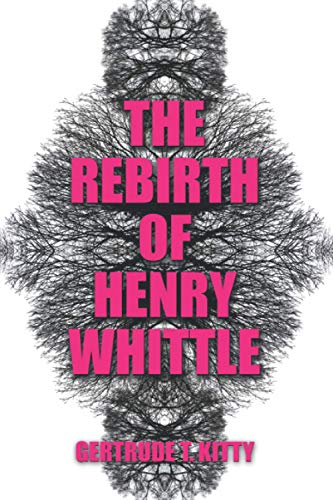 Stock image for The Rebirth of Henry Whittle for sale by AwesomeBooks