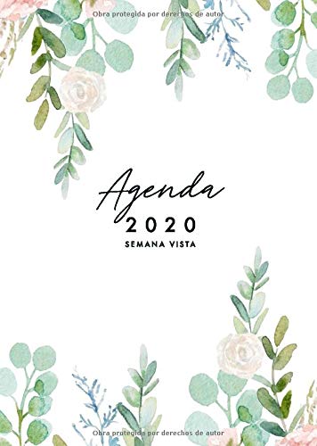 9781672117876: Agenda 2020 Semana Vista: Agenda 2020 12 meses A5 - Organiza tu da - Agenda semanal 2020 - Agenda mensual 2020 - Enero a Diciembre 2020 - Espaol - Diseo floral - Acuarela