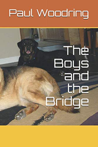 Stock image for The Boys and the Bridge for sale by Revaluation Books