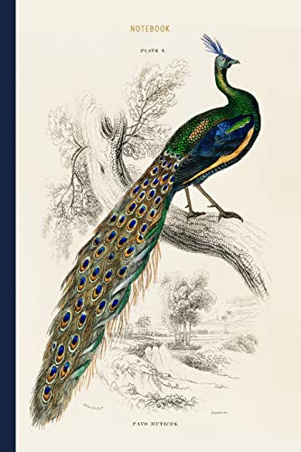 Stock image for Notebook: Peacock Vintage Notebook | The Naturalist s Library by Sir William Jardine (1836), a Majestic Male Peafowl Portrait | Recycled Lined Blank Journal for sale by Revaluation Books