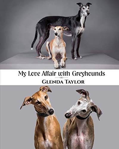 Stock image for My Love Affair with Greyhounds for sale by Revaluation Books